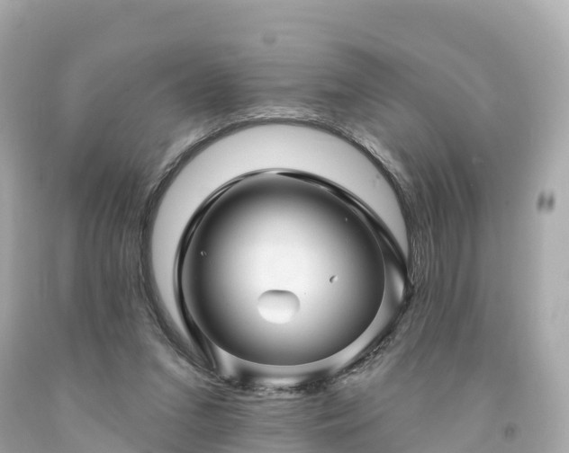 X0000094190207200711021036