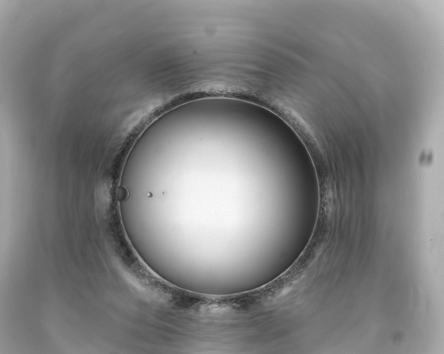 X0000094190208200711021036