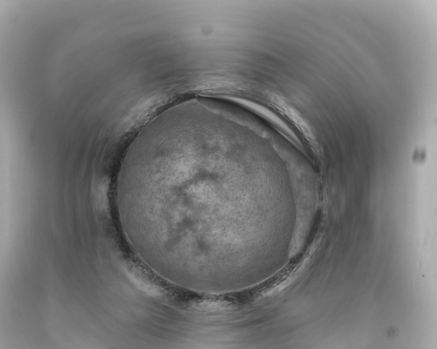 X0000094190209200711021036