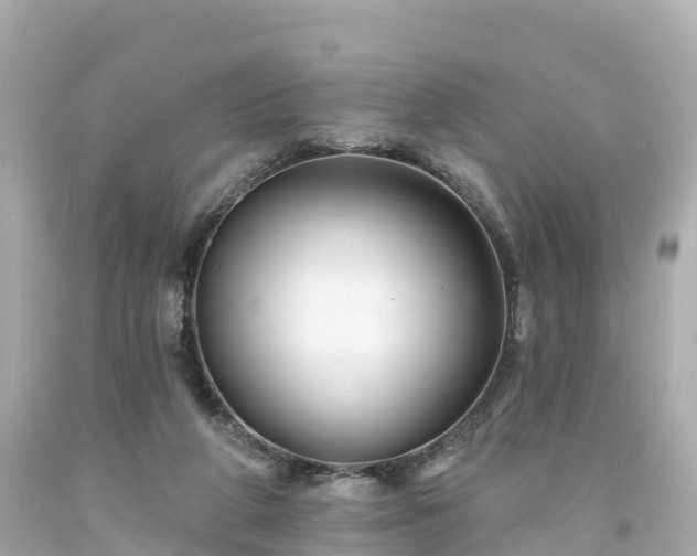 X0000094190210200711021036