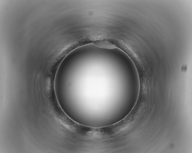 X0000094190211200711021036