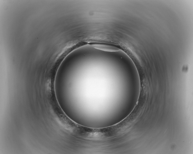 X0000094190212200711021036