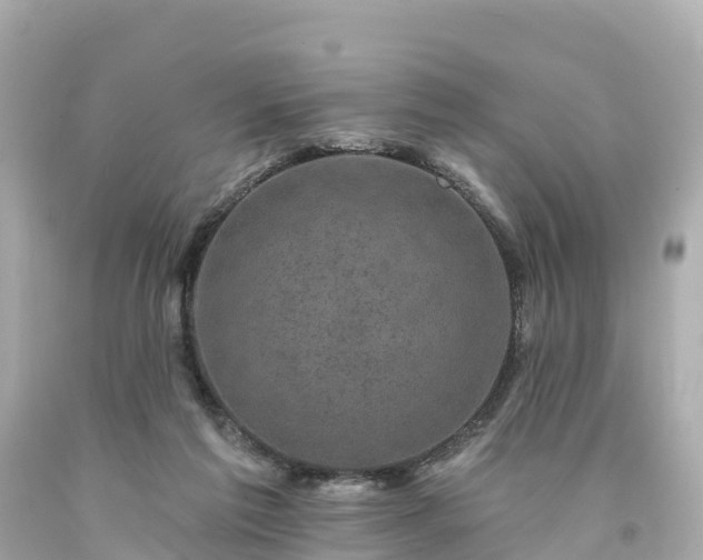 X0000094190213200711021036