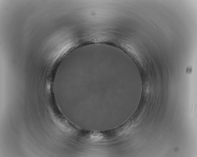 X0000094190214200711021036