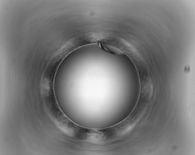 X0000094190215200711021036