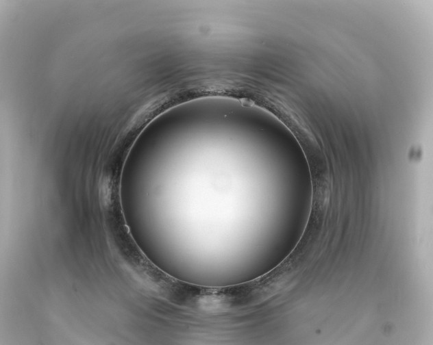 X0000094190216200711021036