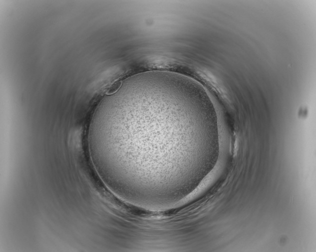 X0000094190217200711021036