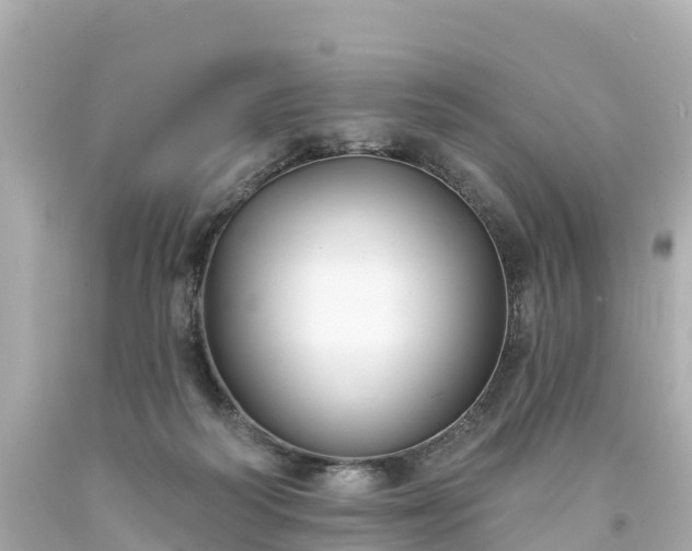 X0000094190218200711021036