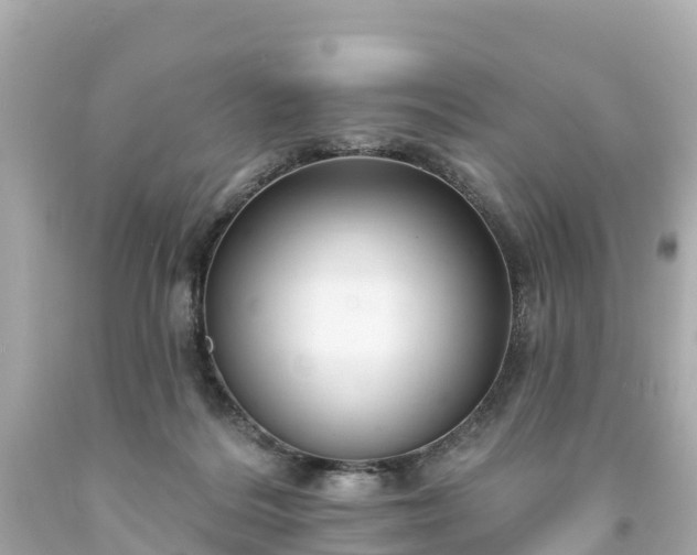 X0000094190220200711021036