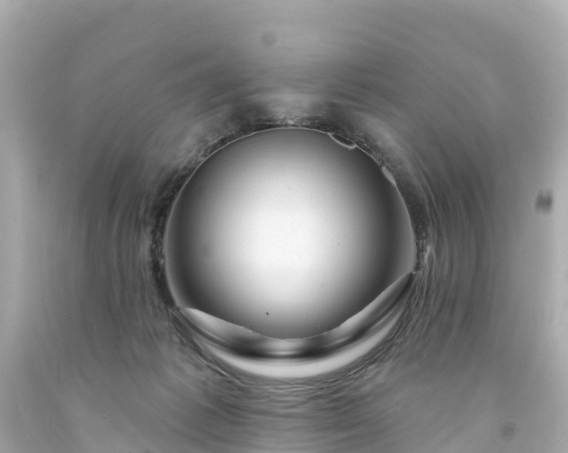 X0000094190221200711021036