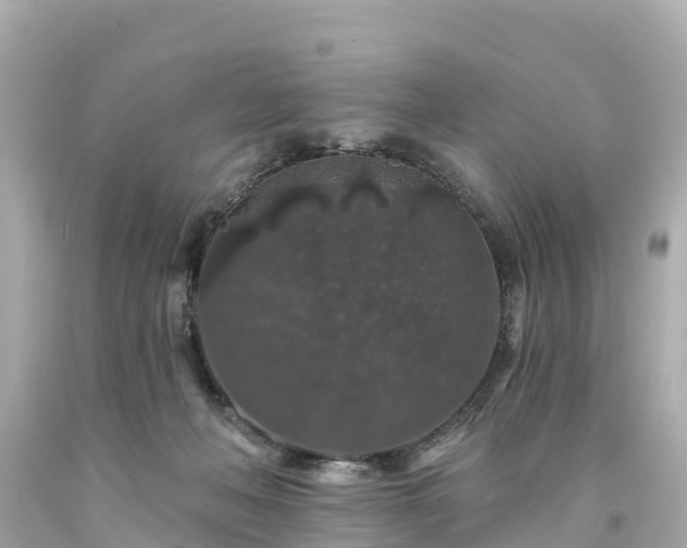 X0000094190222200711021036