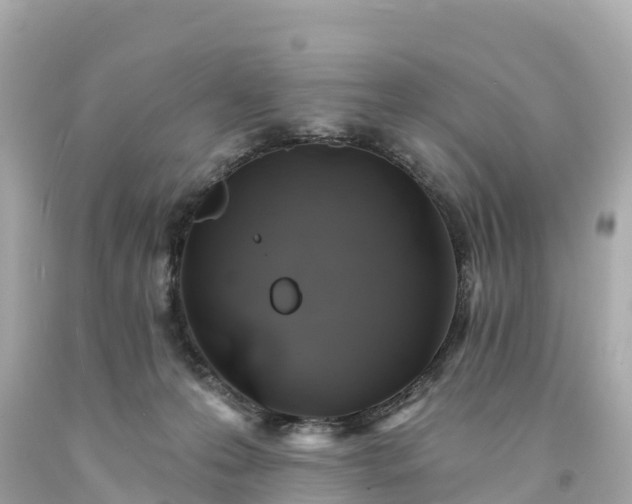 X0000094190223200711021036