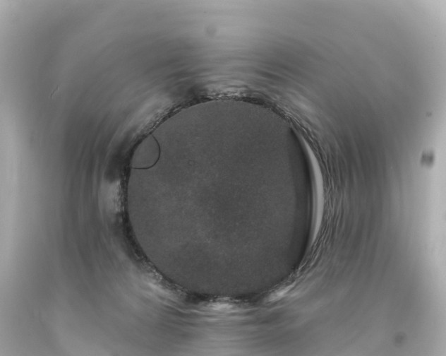 X0000094190224200711021036