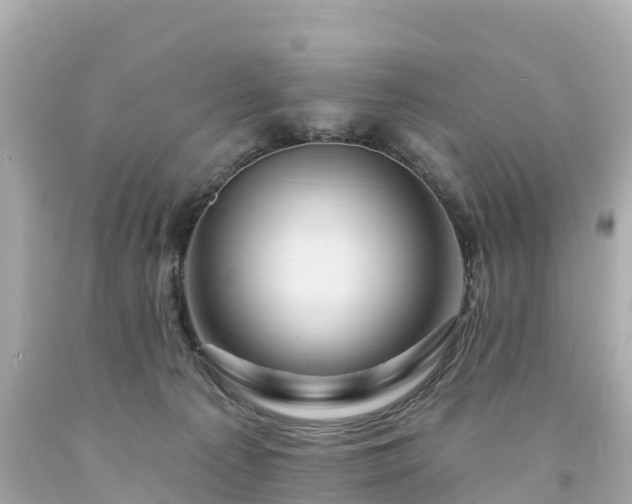 X0000094190225200711021036