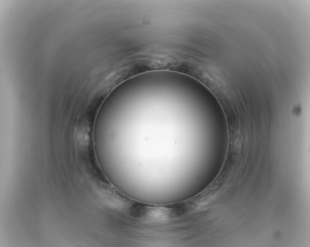 X0000094190226200711021036