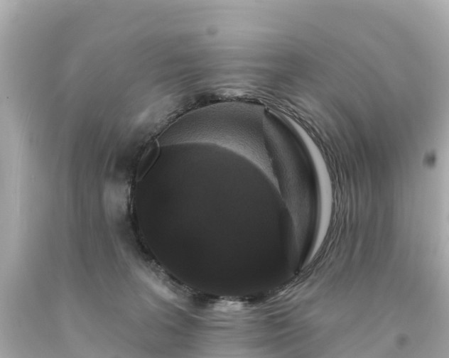 X0000094190227200711021036