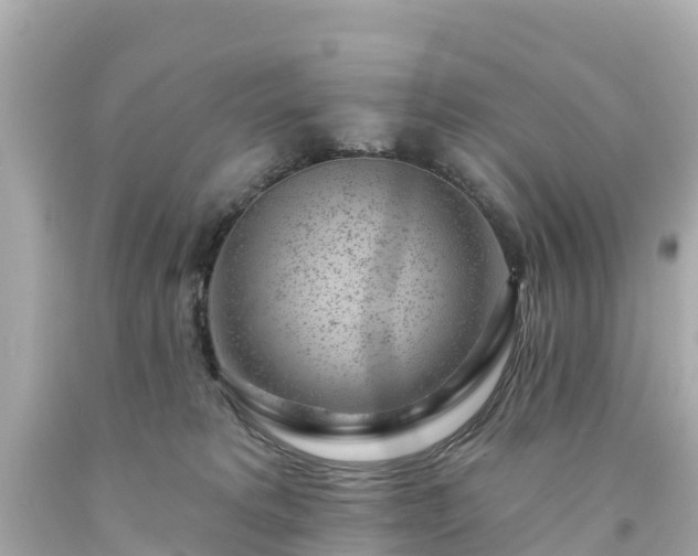 X0000094190229200711021036