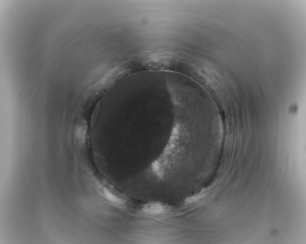 X0000094190231200711021036