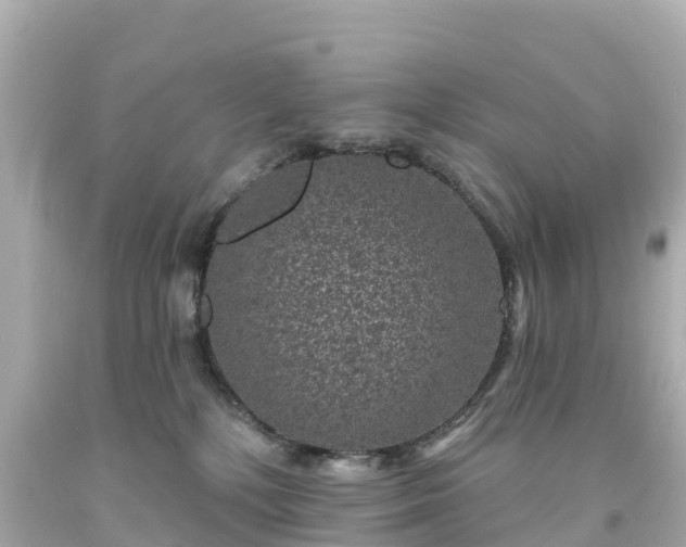 X0000094190232200711021036