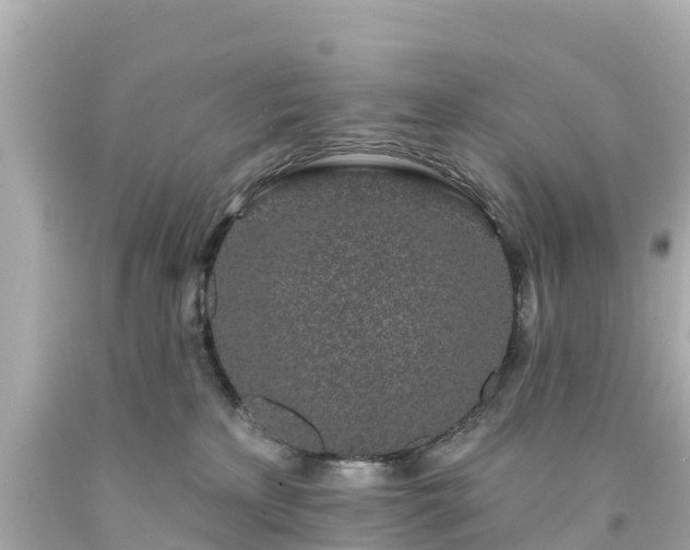 X0000094190233200711021036