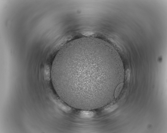 X0000094190234200711021036