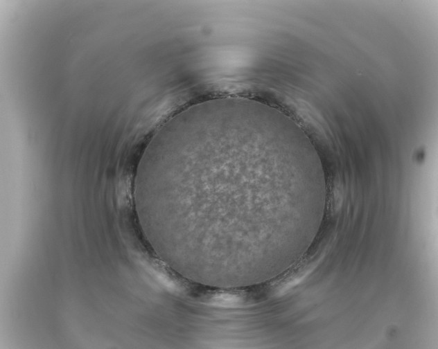 X0000094190236200711021036