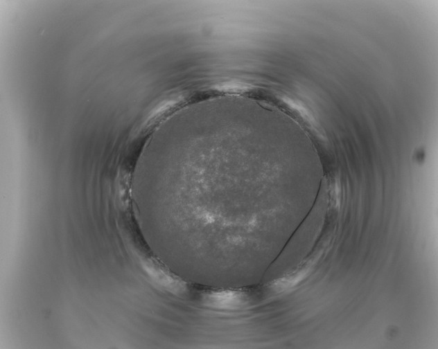 X0000094190237200711021036