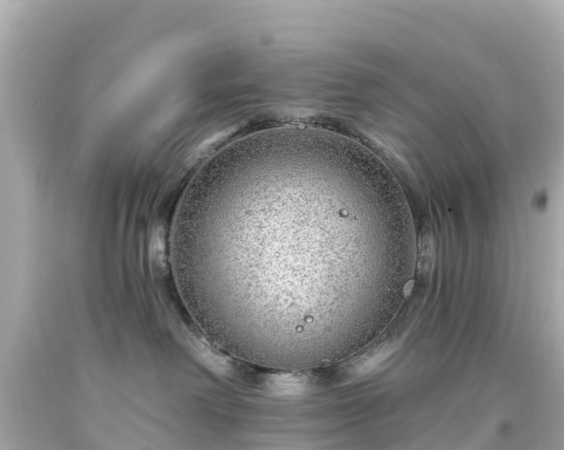 X0000094190238200711021036