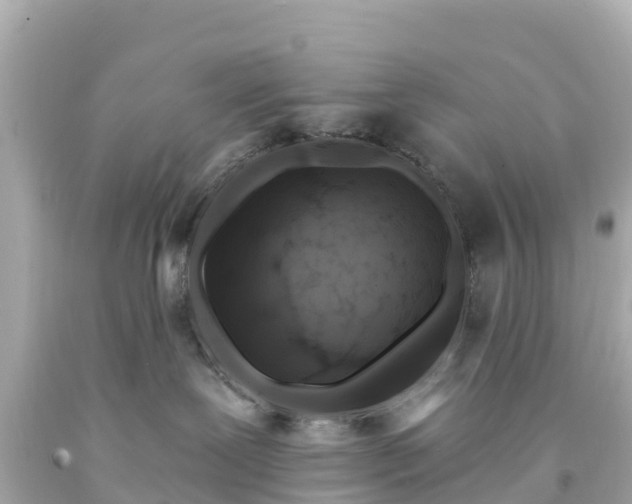 X0000094190239200711021036