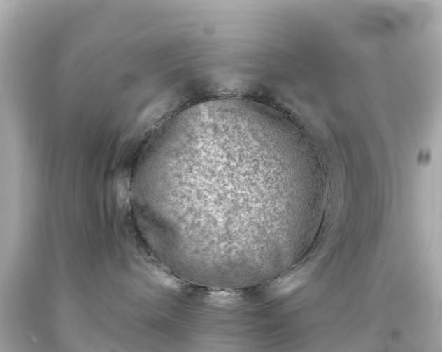 X0000094190240200711021036