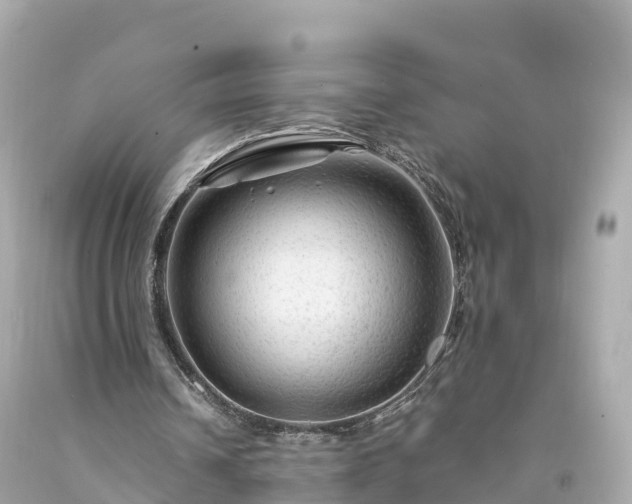 X0000094190242200711021035