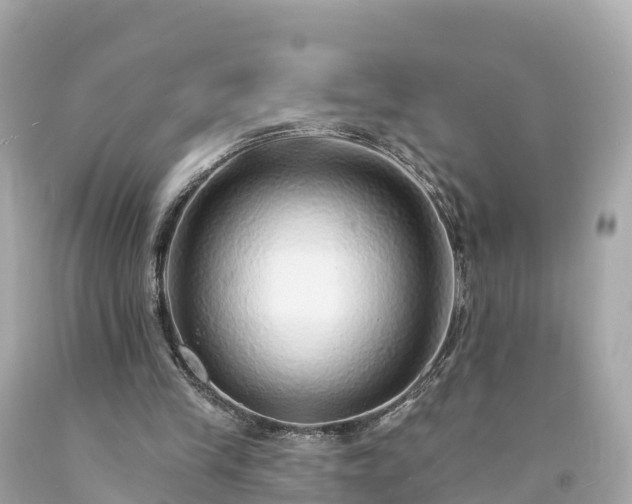 X0000094190245200711021035