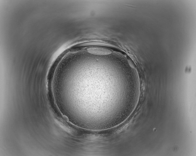 X0000094190246200711021035