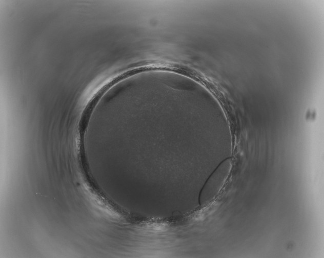 X0000094190247200711021035