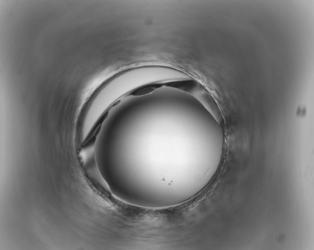 X0000094190248200711021035