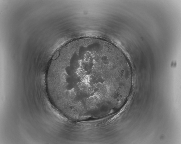 X0000094190249200711021035