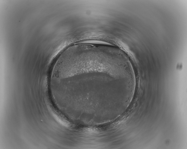 X0000094190250200711021035