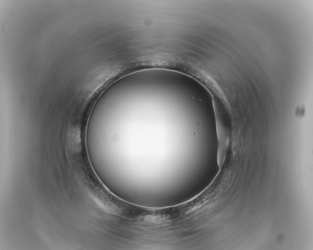 X0000094190251200711021035