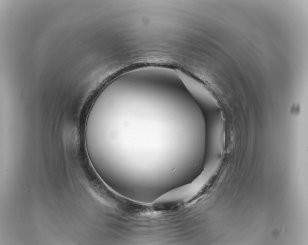 X0000094190252200711021035