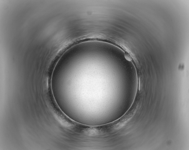 X0000094190253200711021035