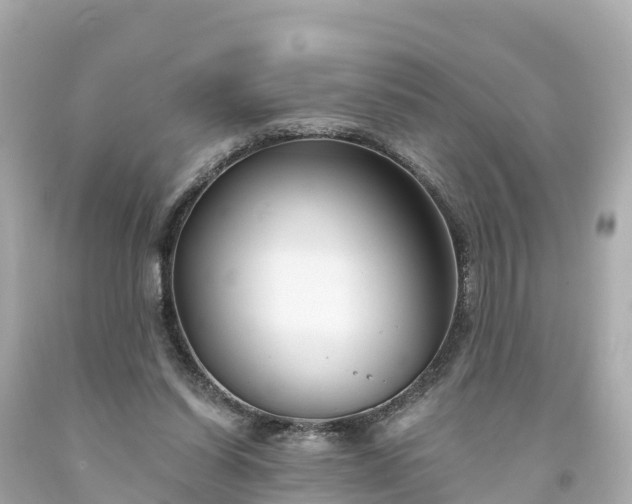 X0000094190254200711021035