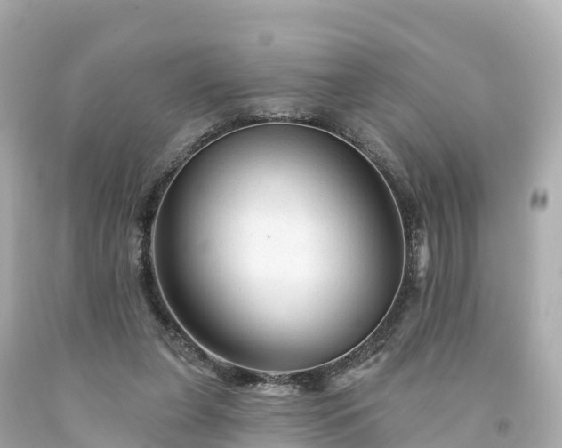 X0000094190255200711021035