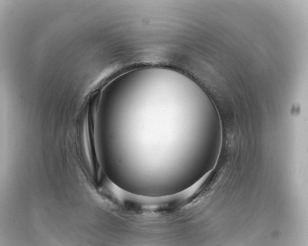 X0000094190256200711021035