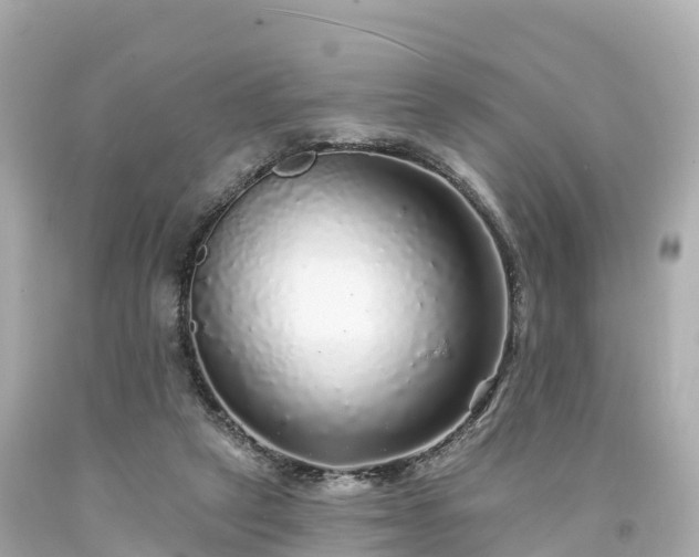 X0000094190257200711021035