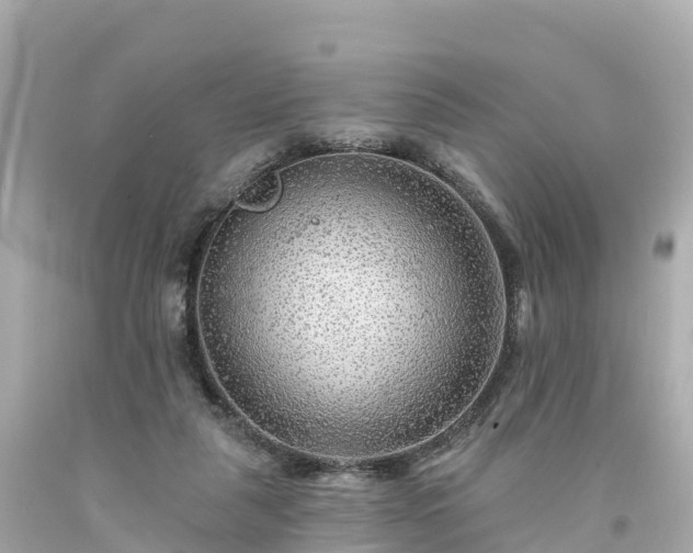 X0000094190259200711021035