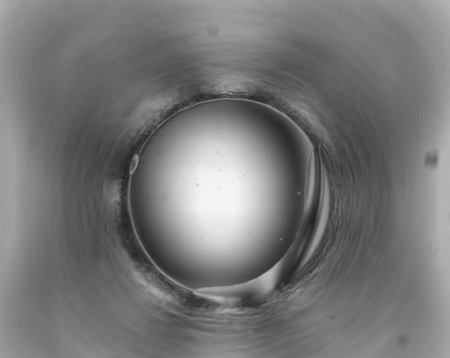 X0000094190260200711021035