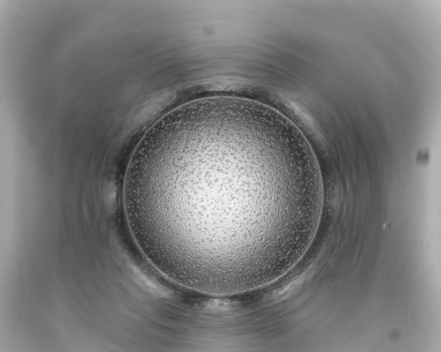 X0000094190261200711021035