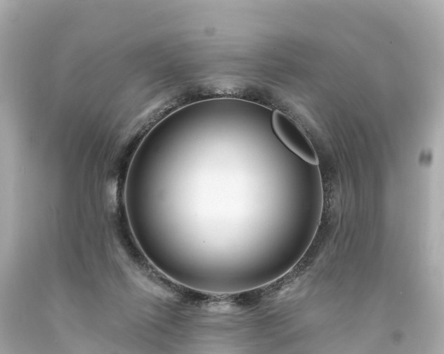 X0000094190262200711021035