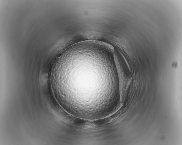 X0000094190263200711021035