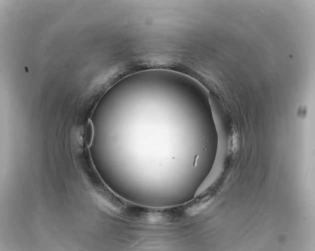 X0000094190264200711021035